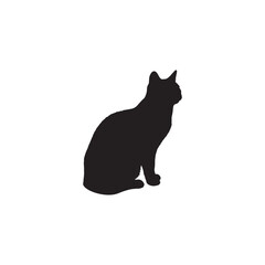 Cute domestic black cat or kitten looking curious on a white background