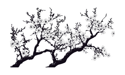 Engraved flowering plum tree vector illustration, blossom garden silhouettes, spring orchard scene, seasonal bloom canopy, countryside scenery, floral branch art, nature background.