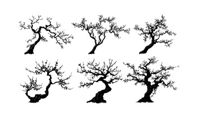 Vintage Nature Vector Illustration, blossoming plum tree silhouettes, engraved floral canopy, curved branch art, oriental spring theme, botanical elements, floral design, garden motifs