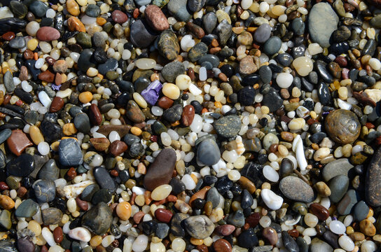 Stones, pebbles and shells on the beach