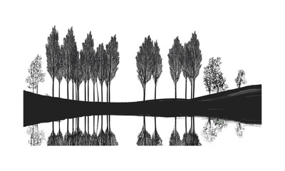 Reflective water forest with tall thin poplar tree silhouettes, calm nature design, engraved trunk vector illustration, lakeside valley landscape, tranquil outdoor environment, serene scenery.