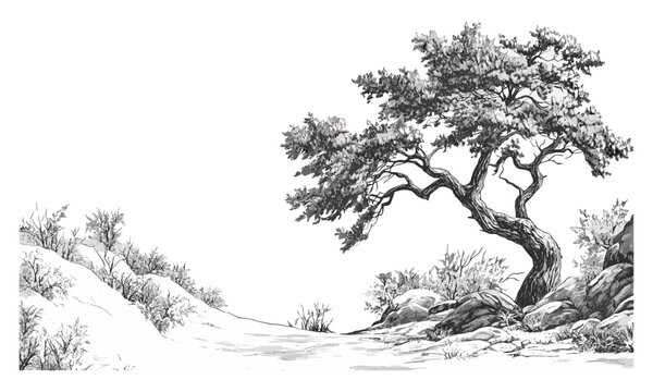 Alpine winter forest scene, cedar tree woodland, engraving style, wild tree silhouette, nature design, vector illustration, mountain wilderness, calm landscape, eco scenery, outdoor tranquility.