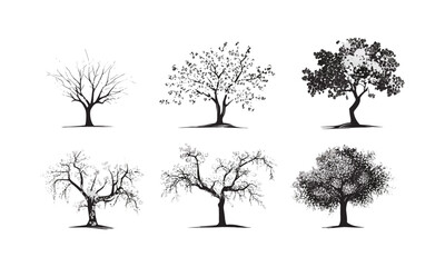 Obraz premium Engraved Cherry Blossom Tree Silhouettes, Japanese springtime floral canopy, blooming flower vector illustration, tranquil garden background, seasonal nature scenery, delicate flower branch design.