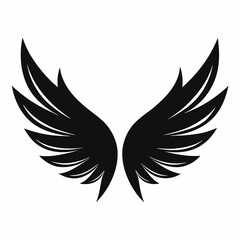 Fototapeta premium wings vector illustration