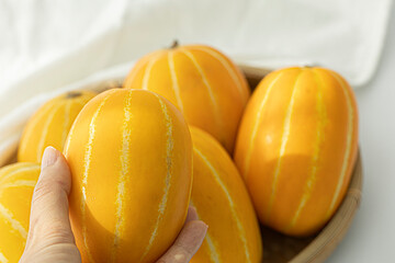 Oriental melon in woman hand