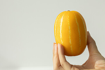 Oriental melon in woman hand