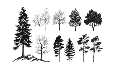 Fototapeta premium Summer Mountain Design with Birch Tree Silhouettes, slender forest vector illustration, breezy hillside engraving, natural woodland art clipart, alpine nature, calm scenery.