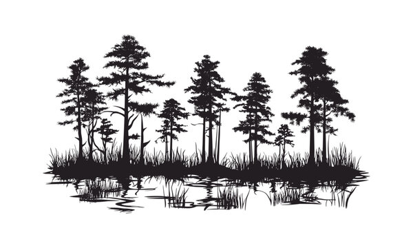 Hand-drawn cypress tree, wetland landscape, forest silhouette, seasonal nature, botanical elements, nature icons set, tree vector, marsh habitat, ecological scene, vector illustration.