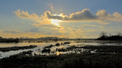 Winter sunset reflecting in the water in the wetlands of Bourgoyen nature reserve, Ghent, Flanders, Belgium
