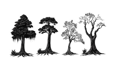 Fototapeta premium Rainy season forest elements, wild nature, tree clipart, engraving style, cypress tree, forest silhouette, nature design, vector illustration, lush greenery, woodland scenery, nature texture.