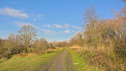 Hiking trail through a sunny marsh landscape in the flemish countryside. Bourgoyen nature reserve, Ghent, Belgium