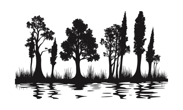 Hand-drawn Cypress Tree in Wetland, forest silhouette, rainy mood, wild nature, black tree clipart, vector illustration, natural habitat, wilderness background, scenic environment.