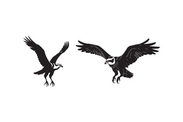 Majestic eagle in flight high resolution vector illustration