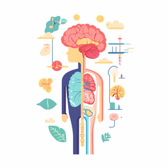 Stylized Human Anatomy Illustration with Brain and Internal Organs on White Background for Medical Education