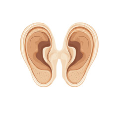 Two Cartoon Ears on a White Background Digital Art Illustration