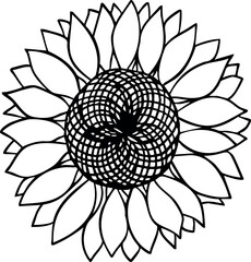 Sunflower flower line art. Hand drawn vector illustration