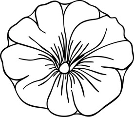 Petunia flower line art. Hand drawn vector illustration