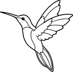 hummingbird line art vector illustration outline