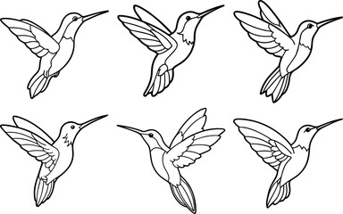 Set of hummingbird line art vector illustration