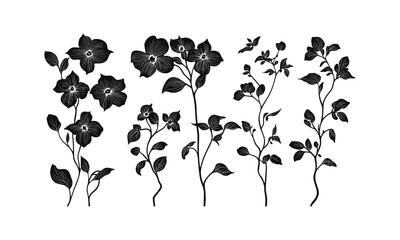 Dogwood Tree Vector Silhouette Set, vintage tree, botanical element, forest design, nature clipart, prairie spring mood, hand-drawn, vector illustration, floral design, garden decor, seasonal art.