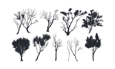 Dry Steppe Tamarisk Tree Silhouettes, sparse landscape, desert climate trees, minimal forest clipart, soft brush canopy art, seasonal illustration, vector illustration, nature background