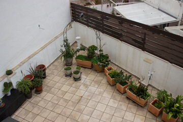 view from above, onto a large balcony with various green flowerpots, and onto another house