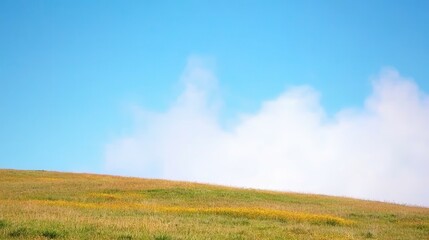 A serene landscape featuring a rolling hill covered in golden grass against a clear blue sky with fluffy white clouds. Perfect for evoking tranquility and nature's beauty.