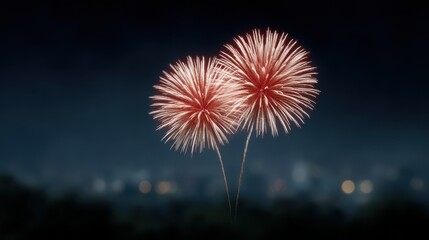 A stunning display of fireworks illuminates the night sky, creating a vibrant atmosphere full of celebration and joy. This captivating scene captures the essence of festivity.