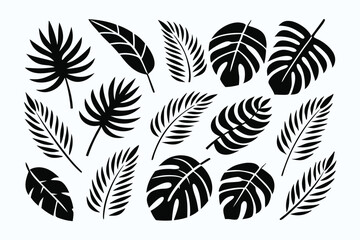 Tropical Leaf Silhouettes: Monstera, Palm, and Fern Foliage in Minimal Black and White Design - Ready to Use!                                         