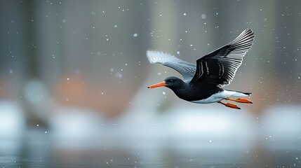 A stunning bird in flight across a serene and snowy landscape