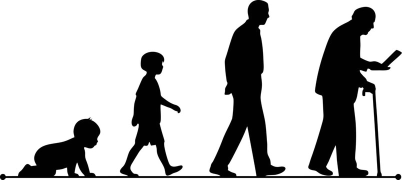 Vector silhouette illustration representing the stages of human life: infant crawling, child walking, teenager standing tall, adult working, elderly person with a cane. Each figure shown in sequence f