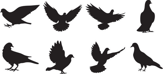Obraz premium Pigeon Silhouette Vector Set – Flying and Standing Bird Clipart for Graphic Design, Pigeon isolated on white background, Black and white clip art, eps10. 