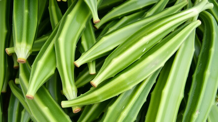 Obraz premium Green okra pods