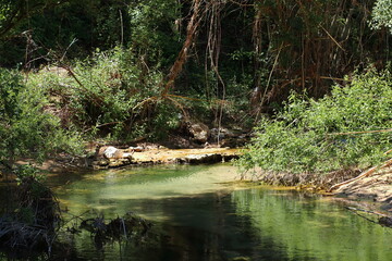 Beautiful postcard of a calm river in a lush and fresh environment