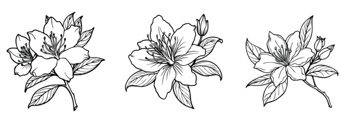 Line art vector illustration of flowers