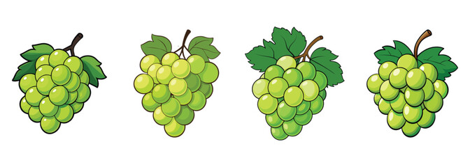 Green grapes vector art