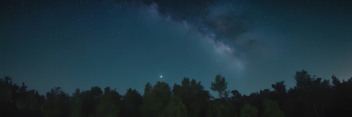 Fototapeta premium Mysterious Night Nature Scene with Moonlight, Mist, Stars, Forest Atmosphere, Cinematic Mood, Realistic Landscape Art