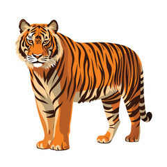 Obraz premium Bengal Tiger standing vector on white background