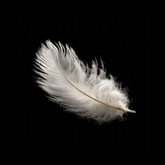 Obraz premium White feather floats on dark background