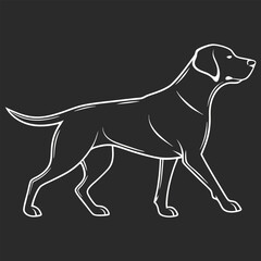 Obraz premium Labrador Retriever Sketch Design Vector Illustration Canine Pet Animal