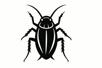 black and white beetle