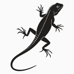 Fototapeta premium Black silhouette of an iguana lizard on white background decorative vector graphic.