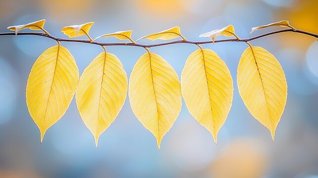 Golden autumn leaves with gentle bokeh highlights softly blurring the background, enhancing the warmth and peaceful atmosphere of the scene