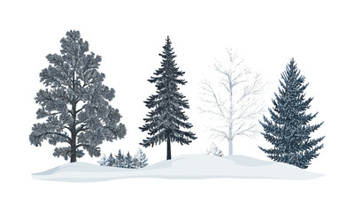 Hemlock Tree Silhouettes in Frosted Forest, alpine evergreen winter ridge, snow-covered trees clipart, engraved icy forest art pack, vector illustration, cold weather nature, christmas tree