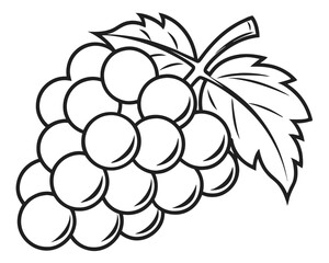 Black and white grape cluster with leaves vector illustration isolated on white background.