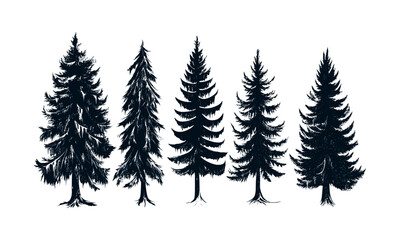 Obraz premium Icy evergreen vector illustration, frozen fir tree silhouettes, cold mountain trees, snow forest scene, sharp tip forest, winter wilderness, alpine forest, frost covered pines.