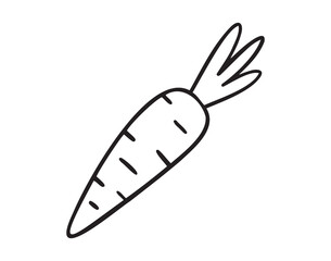 carrot icon doodle hand drawn. Outline carrot line drawing clipart symbol