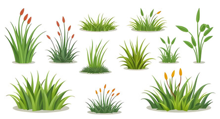 grass flat design, grass simple illustration, grass outline, grass cartoon pack, leafy grass set, summer nature grass, wildland grass, grass bundle illustration, grass growth stages, decorative lawn g