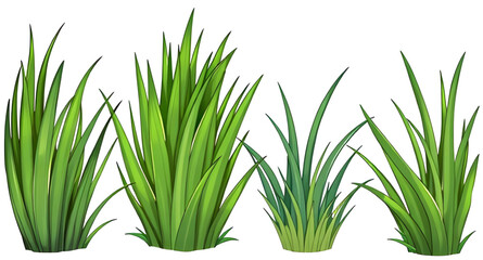 fresh grass illustration, lawn grass, grass border, decorative grass, grass clipart, summer grass set, natural grass design, grass field vector, grass collection, grass bundle, wild grass set, grass p