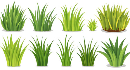 meadow grass set, fresh grass illustration, lawn grass, grass border, decorative grass, grass clipart, summer grass set, natural grass design, grass field vector, grass collection, grass bundle, wild 